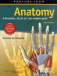 Carmine D. Clemente - Anatomy