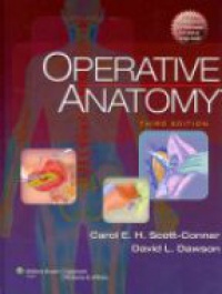 Conner C. - Operative anatomy