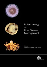 Zamir K Punja,Solke De Boer,Helene I Sanfacon - Biotechnology and Plant Disease Management