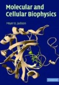 Molecular and Cellular Biophysics