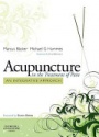 Acupuncture in the Treatment of Pain