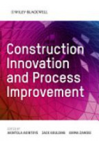Akintola Akintoye,Jack Goulding,Girma Zawdie - Construction Innovation and Process Improvement