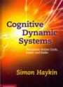 Cognitive Dynamic Systems: Perception-action Cycle, Radar and Radio
