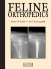 Scott - Feline Orthopedics