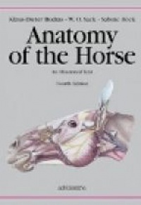 Budras K.D. - Anatomy of the Horse