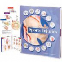 AChC - Anatomical Visual Guide to Sports Injuries