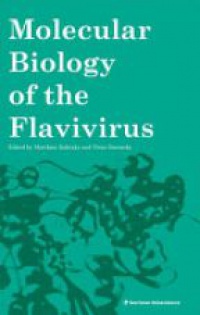 Kalitzky M. - Molecular Biology of the Flavivirus
