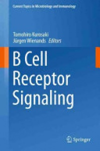 Kurosaki - B Cell Receptor Signaling