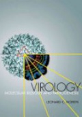 Virology: Molecular Biology and Pathogenesis