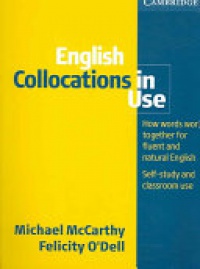  - Cambridge Learner´s Dictionary with CD ROM, 3th.ed.