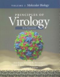 S. Jane Flint,Lynn W. Enquist,Vincent R. Racaniello,Glenn F. Rall,Anna-Marie Skalka - Principles of Virology: 2 Vol set - Bundle