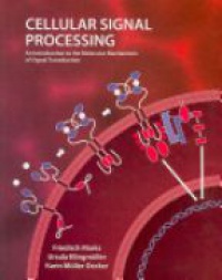 Marks F. - Cellular Signal Processing: An Introduction to the Molecular Mechanisms of Signal Transduction