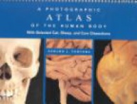 Tortora G.J. - A Photographic Atlas of the Human Body