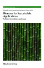 Biomass for Sustainable Applications: Pollution Remediation and Energy