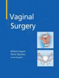 Michel Cosson,Denis Querleu,Daniel Dargent - Vaginal Surgery