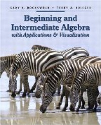 Rockswold G. K. - Beginning and Intermediate Algebra with Application and Visualization