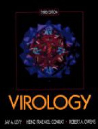 Levy J.A. - Virology