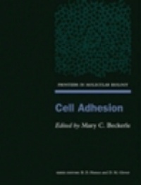 Beckerle M. - Cell Adhesion Frontiers in Molecular Biology