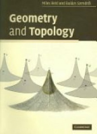 Reid M. - Geometry and Topology