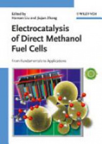 Hansan Liu - Electrocatalysis of Direct Methanol Fuel Cells