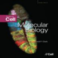 David P. Clark - Molecular Biology