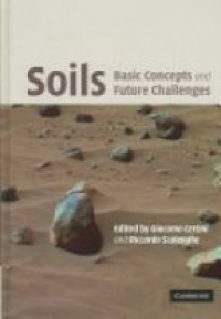 Certini G. - Soils: Basic Concepts and Future Challenges