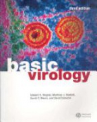 Wagner E. K. - Basic Virology