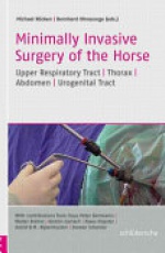 Minimally Invasive Surgery of the Horse