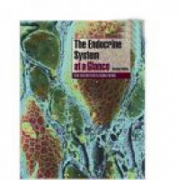 Greenstein B. - The Endocrine System at a Glance