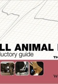 Small Animal ECGs: An Introductory Guide