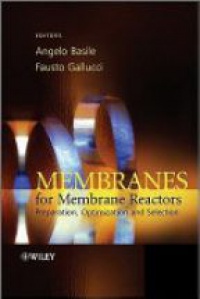 Angelo Basile,Fausto Gallucci - Membranes for Membrane Reactors: Preparation, Optimization and Selection