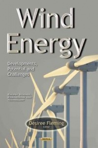 Desiree Fleming - Wind Energy: Developments, Potential & Challenges