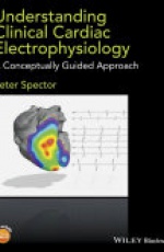 Understanding Cardiac Electrophysiology: A Conceptually Guided Approach