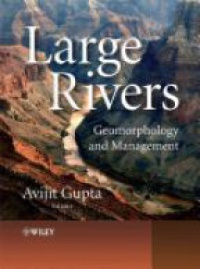 Gupta A. - Large Rivers: Geomorphology and Management