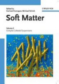 Gompper G. - Soft Matter Volume 2, Complex Colloidal Suspensions