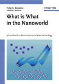 Borisenko V. - What is What in the Nanoworld
