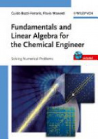 Guido Buzzi-Ferraris - Fundamentals and Linear Algebra for the Chemical Engineer