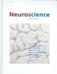 Purves D. - Neuroscience, 4th ed.