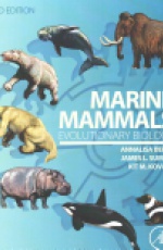 Marine Mammals