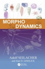 Morphodynamics