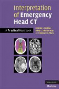 Holmes - Interpretation of Emergency Head CT