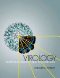 Norkin L.C. - Virology: Molecular Biology and Pathogenesis