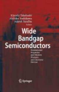 Takahashi K. - Wide Bandgap Semiconductors