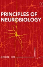 Principles of Neurobiology