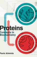 Proteins: Concepts in Biochemistry