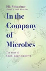 In The Company of Microbes: Ten Years of Small Things Considered