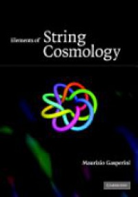 Gasperini M. - Elements of String Cosmology