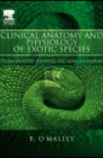 Clinical Anatomy and Physiologoy of Exotic Species: Structure and Function of Mammals, Birds, Reptiles and Amphibians