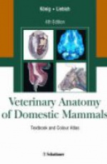 Veterinary Anatomy of Domestic Mammals: Textbook and Colour Atlas , 4th edition
