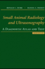 Small Animal Radiology and Ultrasound: A Diagnostic Atlas and Text